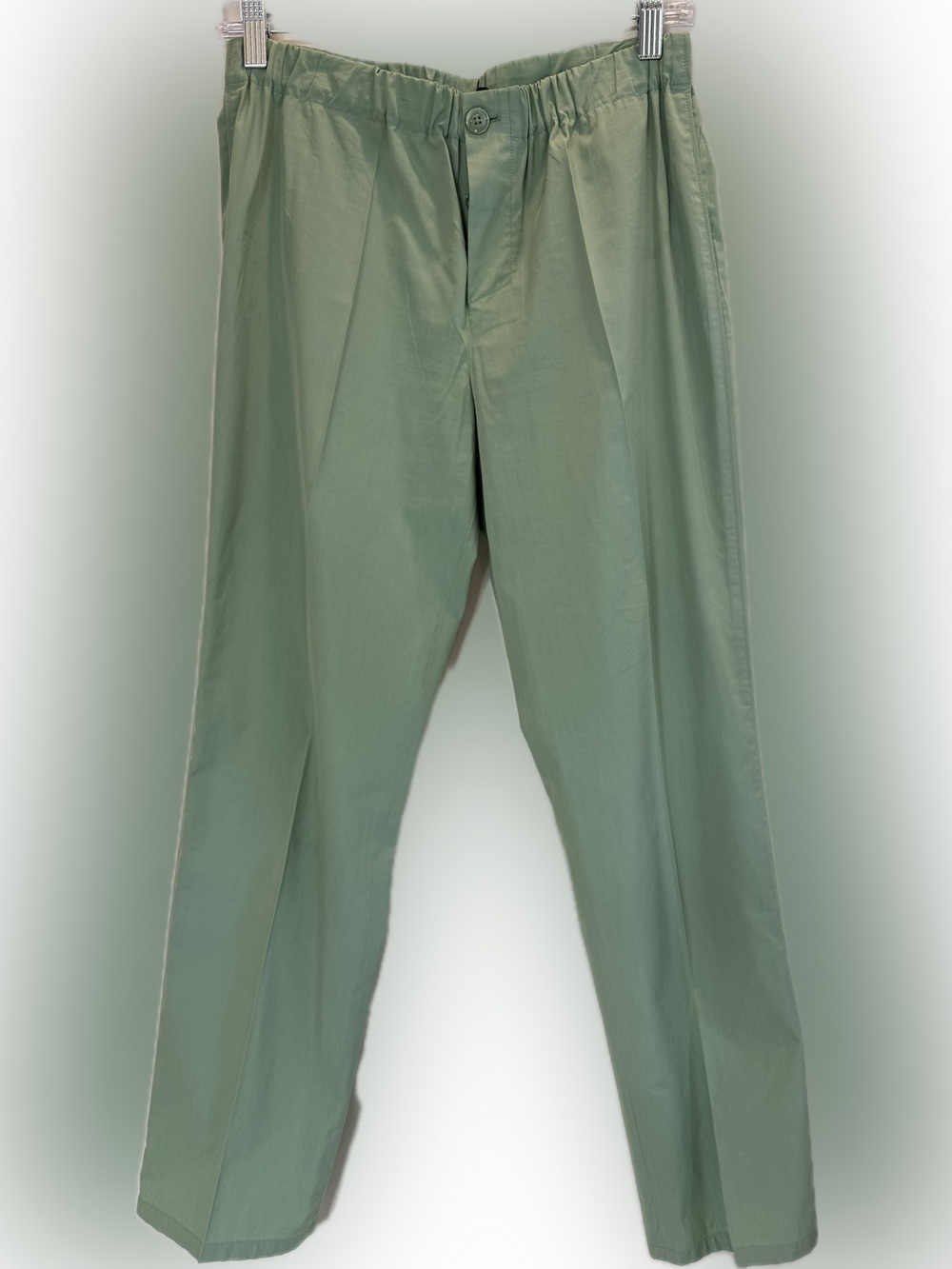 Loro Piana sage green pants